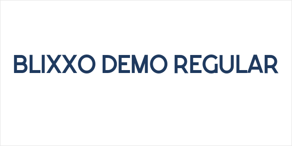 Blixxo Demo Regular Logo