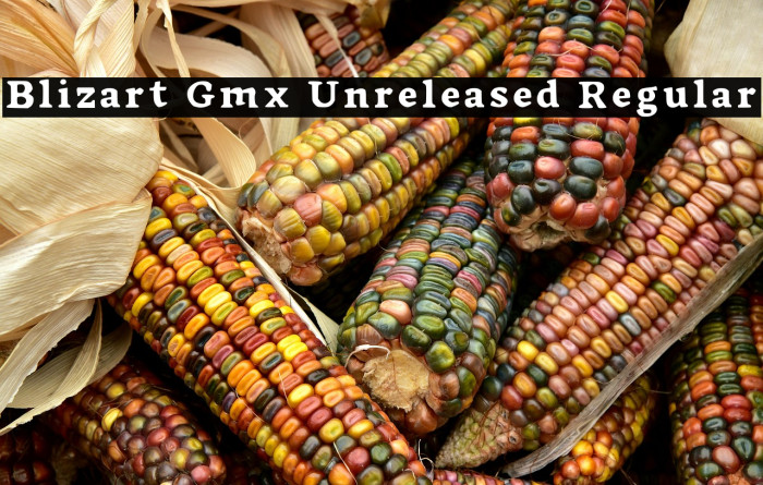 Blizart Gmx Unreleased Regular Example 2