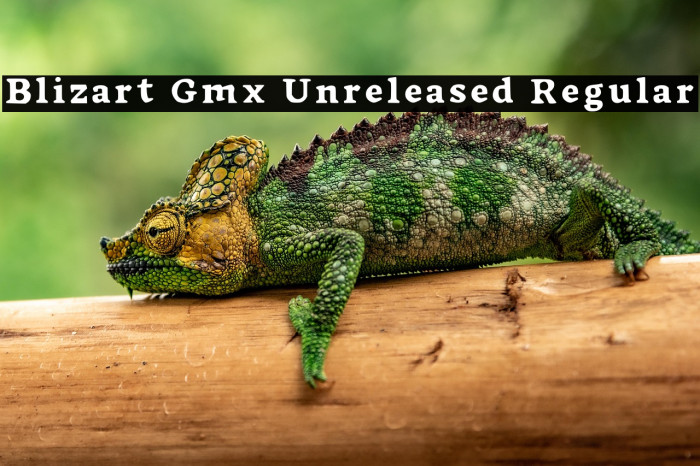 Blizart Gmx Unreleased Regular Example 3