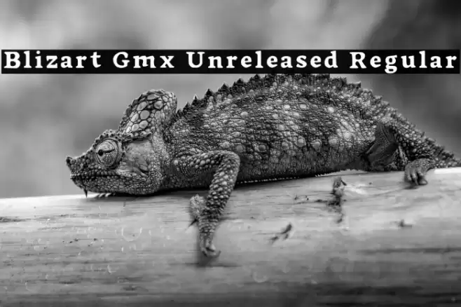 Blizart Gmx Unreleased Regular Font examples