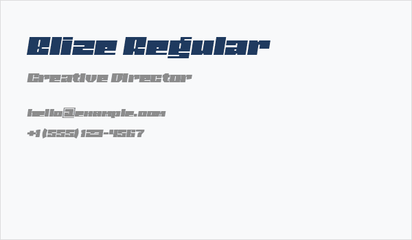 Blize Regular Business Card