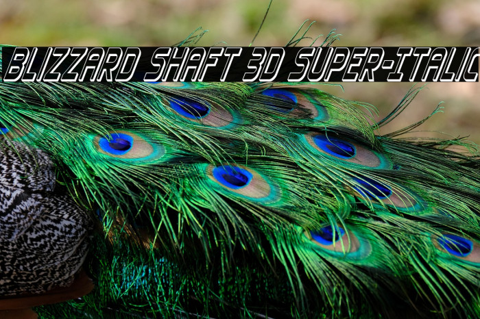 Blizzard Shaft 3D Super-Italic Example 2