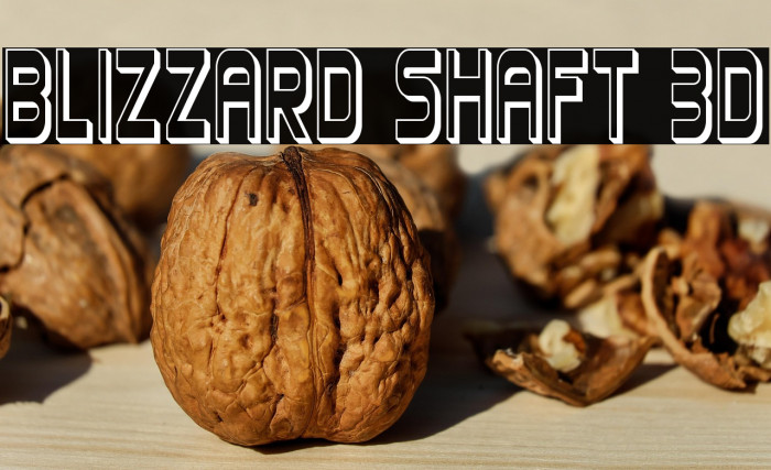 Blizzard Shaft 3D Example 2