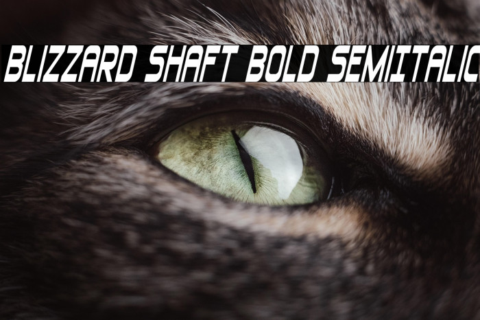 Blizzard Shaft Bold SemiItalic Example 3