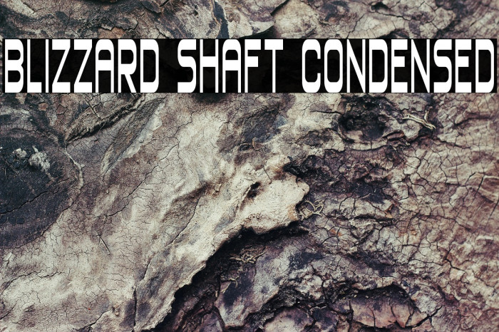 Blizzard Shaft Condensed Example 2