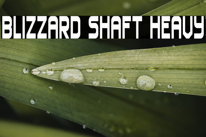 Blizzard Shaft Heavy Example 3