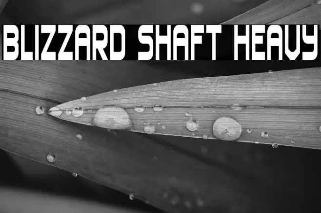 Blizzard Shaft Heavy Font examples