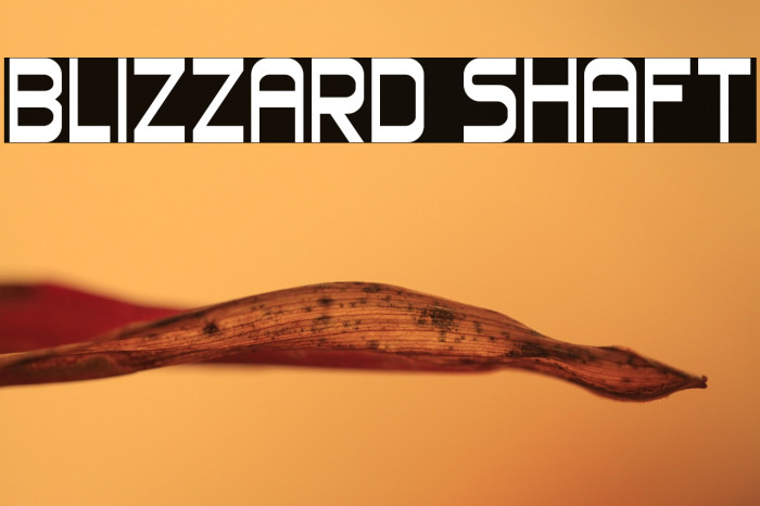 Blizzard Shaft Example 1
