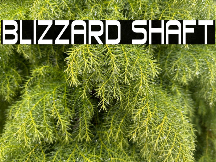 Blizzard Shaft Example 2