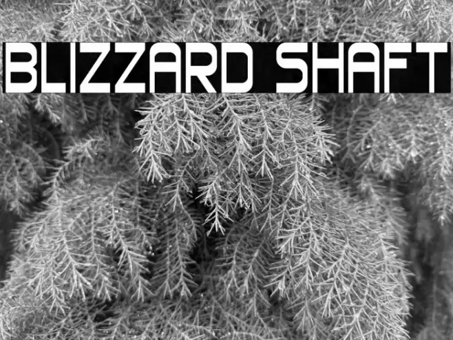 Blizzard Shaft Font examples