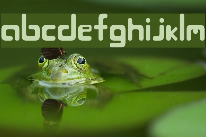 Blöjbytesdepå Font examples