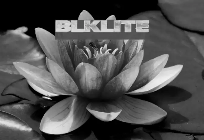 BlkLite Font examples