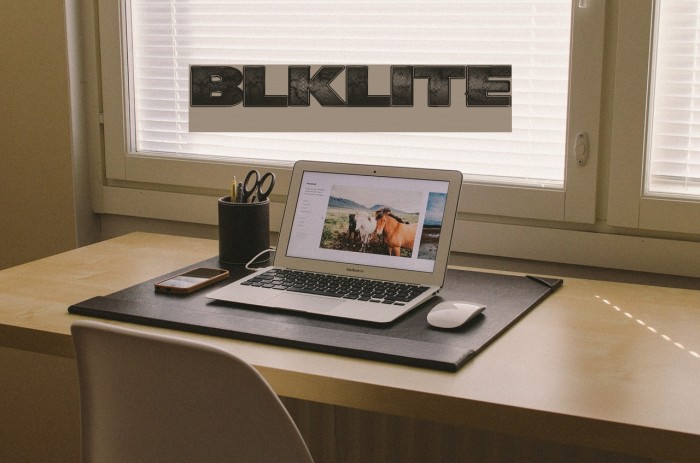 BlkLite Example 3