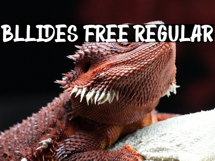 Bllides Free Regular Example 1