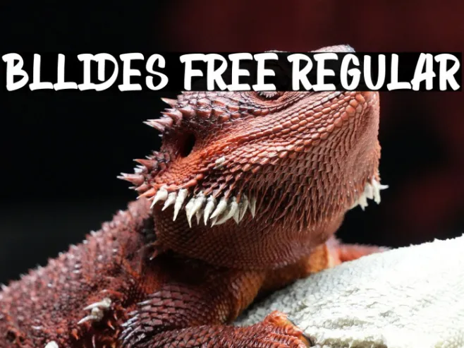 Bllides Free Regular Example 1