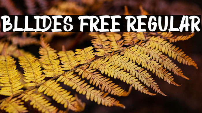 Bllides Free Regular Example 3