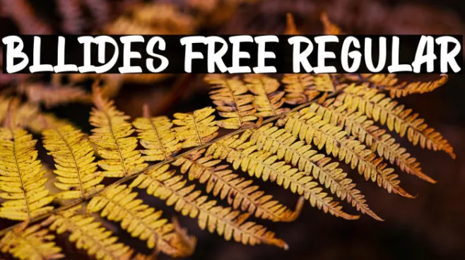 Bllides Free Regular Example 3