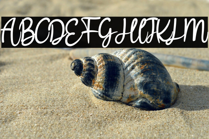 Bllodir Smart Example 1