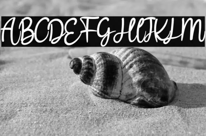 Bllodir Smart Font examples