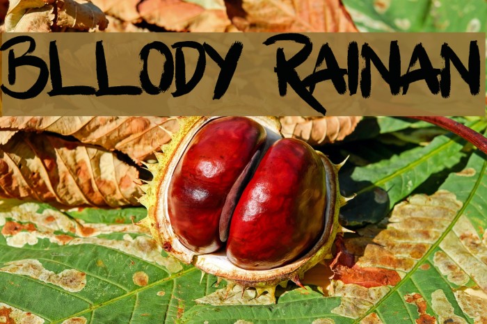 Bllody Rainan Example 3