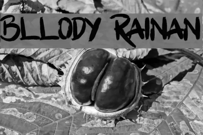 Bllody Rainan Font examples