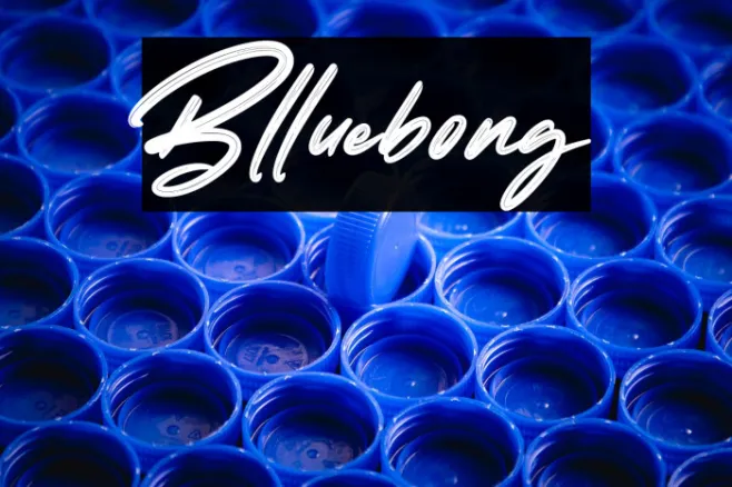 Blluebong Example 2