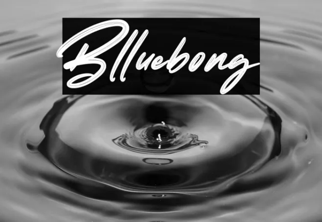 Blluebong Example 3