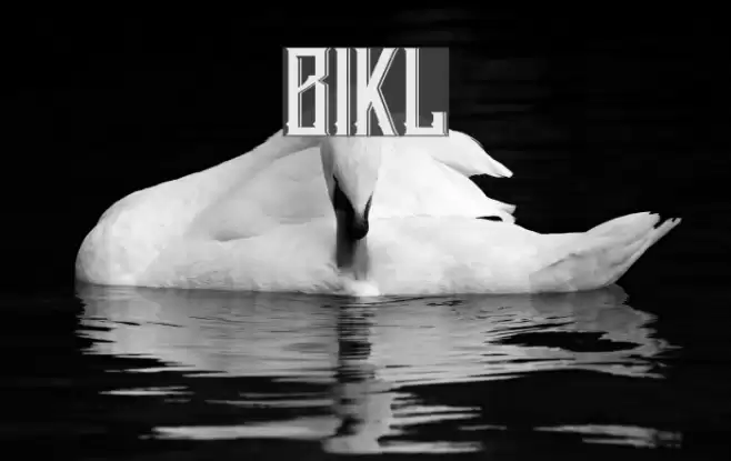 Blnker Font examples