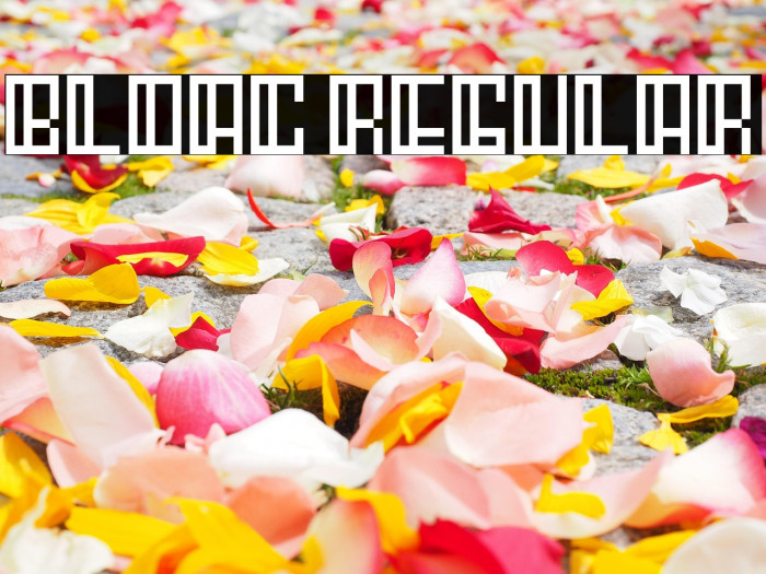 Bloac Regular Example 3