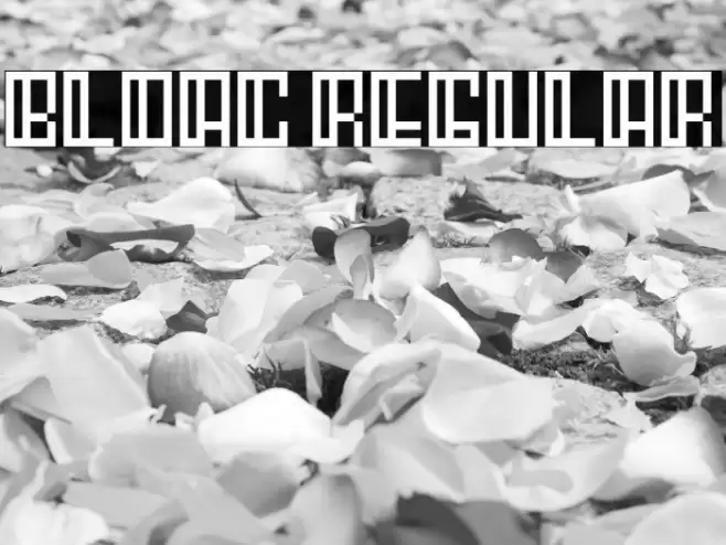 Bloac Regular Font examples