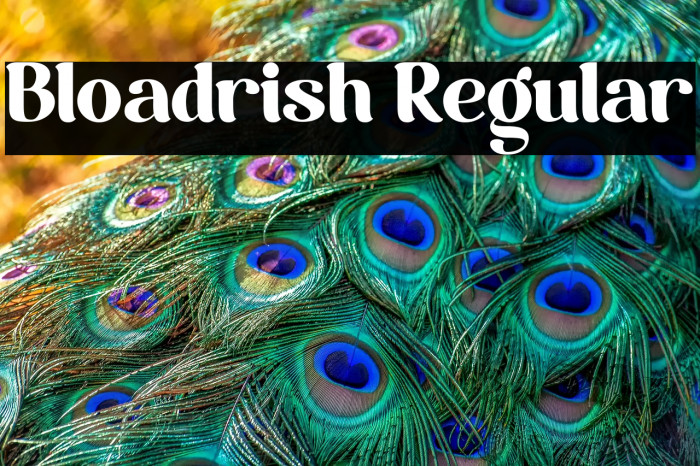 Bloadrish Regular Example 1