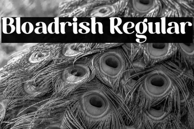 Bloadrish Regular Font examples