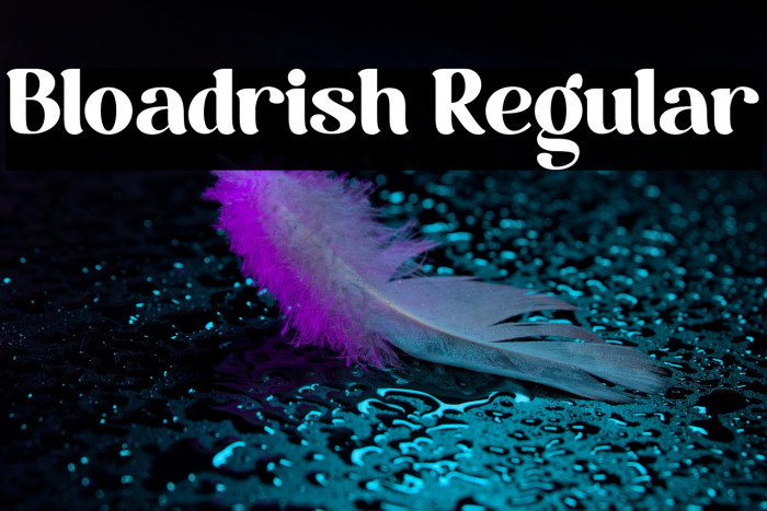 Bloadrish Regular Example 3