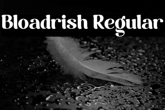 Bloadrish Regular Font examples