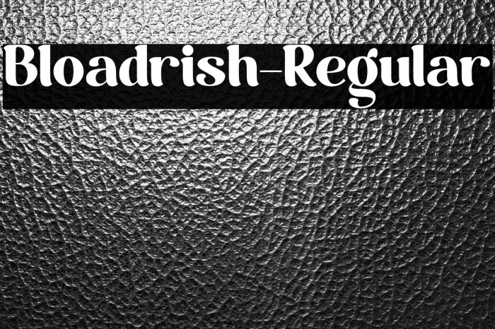 Bloadrish-Regular Example 1