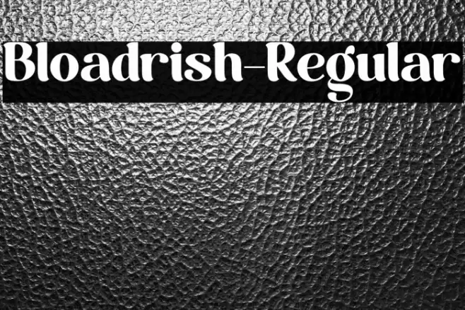 Bloadrish-Regular Font examples