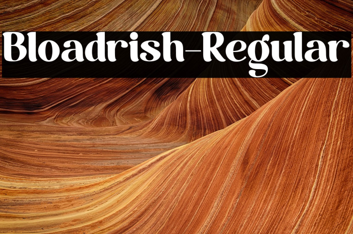 Bloadrish-Regular Example 2