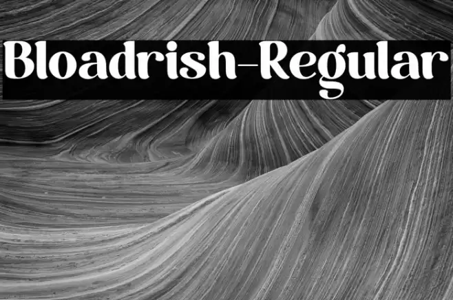 Bloadrish-Regular Font examples