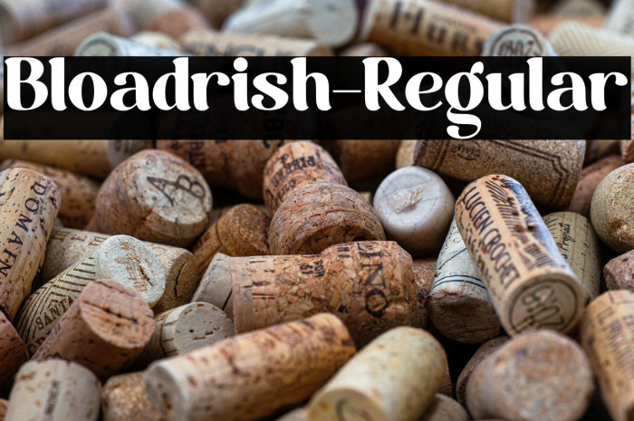 Bloadrish-Regular Example 3