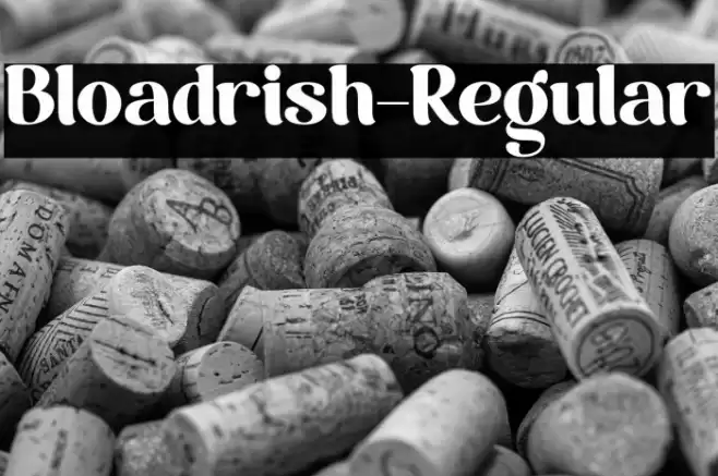 Bloadrish-Regular Font examples