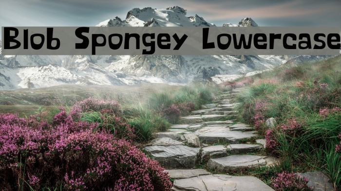 Blob Spongey Lowercase Font examples