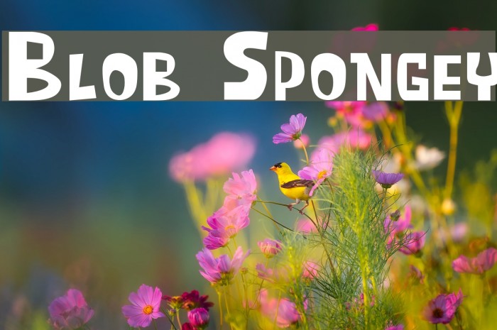 Blob Spongey Font examples