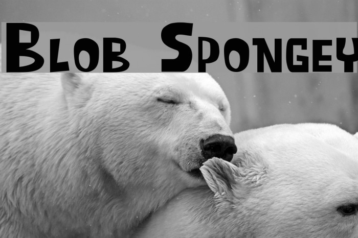 Blob Spongey Font examples