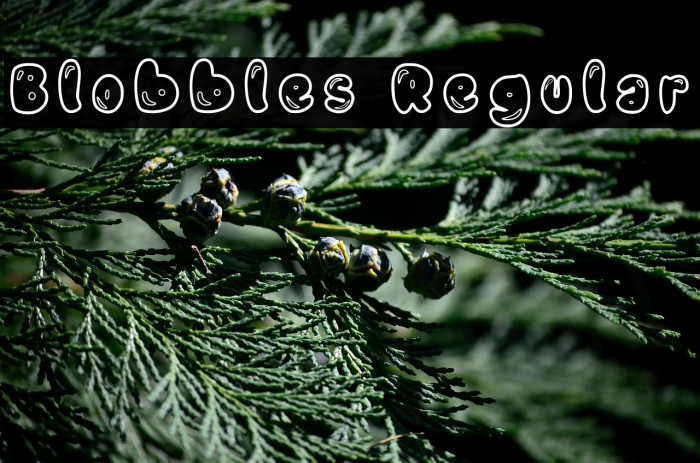 Blobbles Regular Example 2