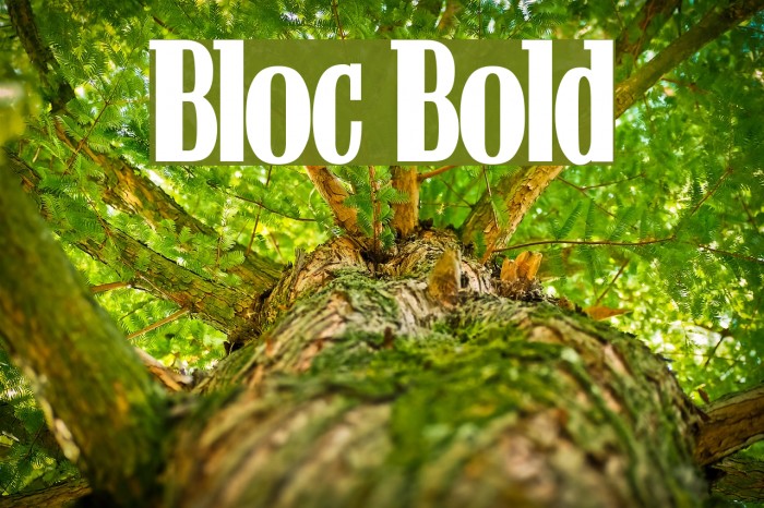 Bloc Bold Font examples