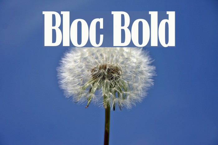 Bloc Bold Font examples