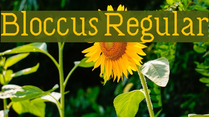 Bloccus Regular Font examples