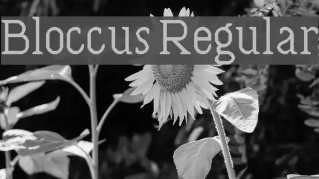 Bloccus Regular Font examples
