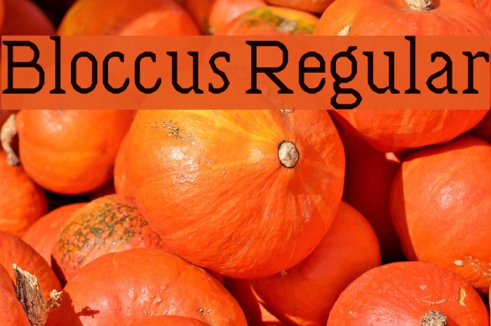 Bloccus Regular Font examples