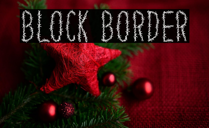 Block Border Example 2